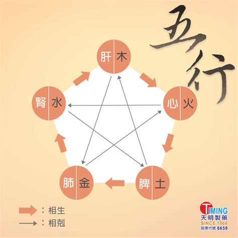 相剋意思|《中醫詞典》解釋「相剋」的意思